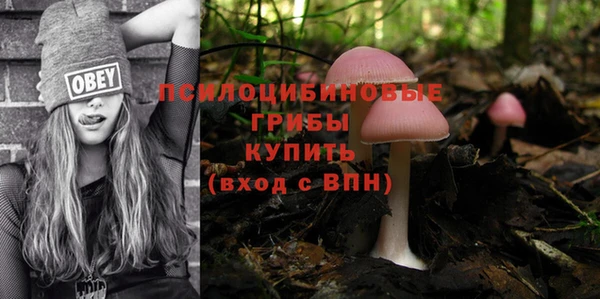 шишки Алексеевка