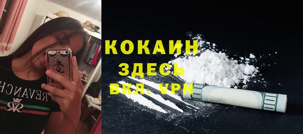 спайс Алзамай